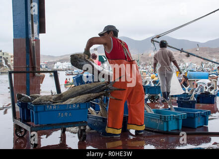Peruanische Fischer in einen Tintenfisch in Pucusana Pier in einem bewölkten Morgen stall in touristische Stadt Pucusana in der Nähe von Lima. Stockfoto