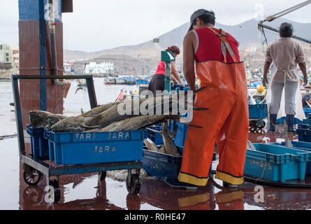 Peruanische Fischer in einen Tintenfisch in Pucusana Pier in einem bewölkten Morgen stall in touristische Stadt Pucusana in der Nähe von Lima. Stockfoto