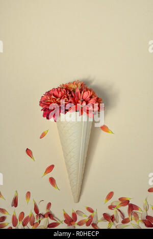 Herbst Blumen in Eis auf dem Papier Hintergrund Stockfoto