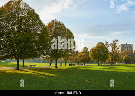 Clissold Park, Stoke Newington, Hackney, London, an einem milden sonnigen Nachmittag im November 2018 Stockfoto