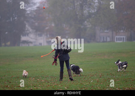 Northampton, Großbritannien. 5 Nov, 2018. Eine Dame ihre 3 Hunde in Abington Park in einer kalten, nebligen Morgen, sehr ruhig heute morgen als die Wetter müssen Menschen sein, bis es später verbessert die odies Morgen. Credit: Keith J Smith./Alamy leben Nachrichten Stockfoto