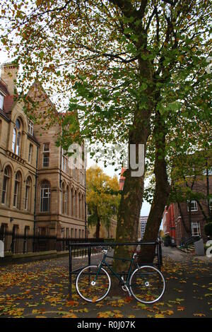 Rennrad und alten Baum im Herbst mit einer in einem alten Gebäude im Hintergrund Stockfoto