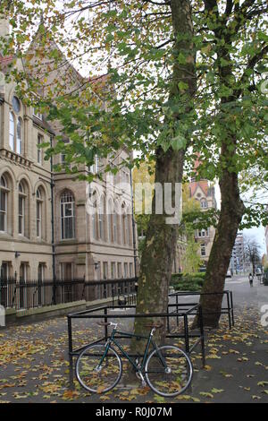 Rennrad und alten Baum im Herbst mit einer in einem alten Gebäude im Hintergrund Stockfoto