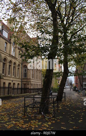 Rennrad und alten Baum im Herbst mit einer in einem alten Gebäude im Hintergrund Stockfoto