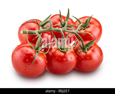 Grosse Niederlassung von frischen roten Tomaten mit grünen Blättern mit Wassertropfen auf weißem Hintergrund Freistellungspfad isoliert Stockfoto