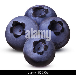 Stapel der vier reifen Heidelbeeren auf weißem Hintergrund. Freistellungspfaden. Volle Tiefenschärfe. Stockfoto
