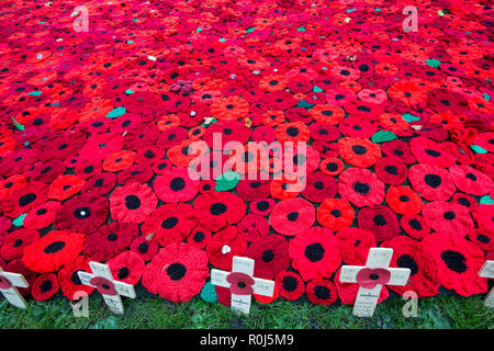 Tausende von gewirkten und gestrickten Mohnblumen in der Festlegung auf grünem Gras außerhalb Selby Abbey mit Botschaften der Liebe für die Opfer des Krieges auf hölzerne Kreuze Stockfoto