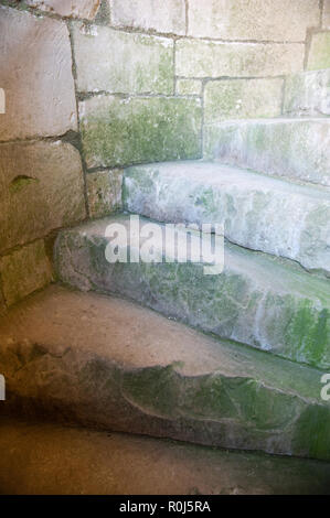 Abgenutzte Schritte im East Tower im Old Wardour Castle, in der Nähe von Tisbury, Salisbury, Wiltshire, UK. Stockfoto