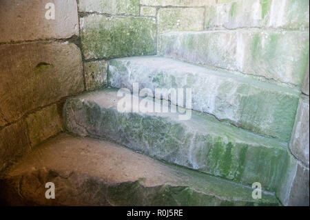 Abgenutzte Schritte im East Tower im Old Wardour Castle, in der Nähe von Tisbury, Salisbury, Wiltshire, UK. Stockfoto