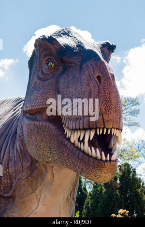 Tyrannosaurus Rex ein räuberischer Theropode Saurier, in der Kreidezeit auf der Insel Kontinent Laramidia, die jetzt Nordamerika gelebt Stockfoto