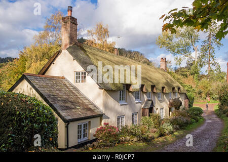 Reetgedeckte Cottages in das attraktive Dorf Dunster, Exmoor National Park, Somerset, England, Großbritannien Stockfoto