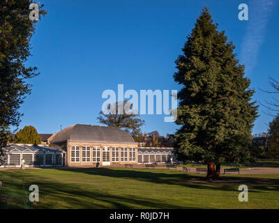 Viktorianische botanischen Pavillons, botanischen Gärten, Sheffield Stockfoto
