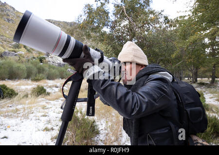 Natur Tierwelt professionelle Fotografen mit einem Canon 200-400mm f4 Super tele Zoom Foto auf einem Einbeinstativ im Freien Stockfoto