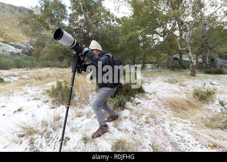 Natur Tierwelt professionelle Fotografen mit einem Canon 200-400mm f4 Super tele Zoom Foto auf einem Einbeinstativ im Freien Stockfoto