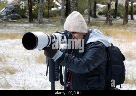 Natur Tierwelt professionelle Fotografen mit einem Canon 200-400mm f4 Foto super tele Zoom Objektiv im Freien Stockfoto