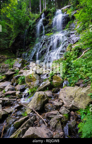 Deutschland, Schwarzwald Ziel der Zweribach Wasserfall in geschützten Wald Natur Landschaft Stockfoto