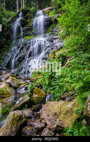 Deutschland, Simonswald Zweribach Wasserfällen in der Nähe von Freiburg in der Magie lawine Wald Stockfoto