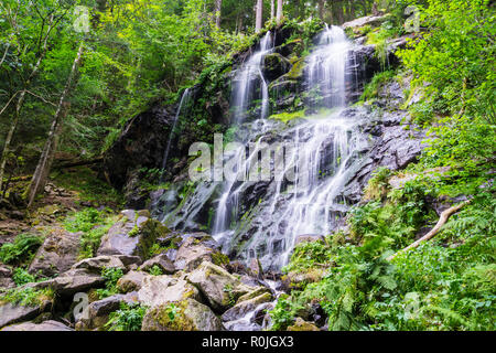 Deutschland, felsigen Wasserfall von Zweribach in Green Magic wald landschaft Stockfoto