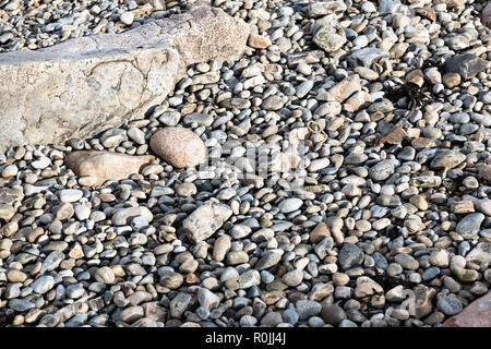 Kies Steine und Felsen im Meer Strand. Stockfoto