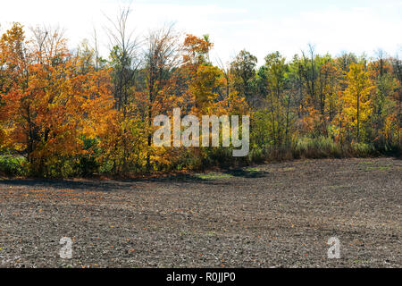 Herbst Farben und einem gepflügten Feldes im südlichen Ontario Stockfoto