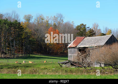 Herbst im südlichen Ontario Stockfoto