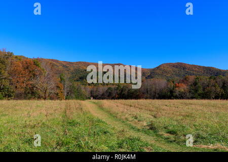 Cades Cove Loop fahren, Smoky Mountains National Park Stockfoto