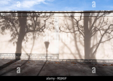 Schatten der Bäume und Laterne an der Wand in Paris. Stockfoto