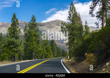 Fahrt durch die Sierra Berge in Richtung Sonora Pass, Kalifornien Stockfoto