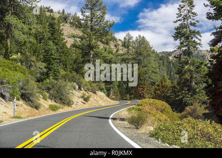 Fahrt durch die Sierra Berge in Richtung Sonora Pass, Kalifornien Stockfoto