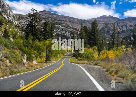 Fahrt durch die Sierra Berge in Richtung Sonora Pass an einem sonnigen Herbsttag, Kalifornien Stockfoto