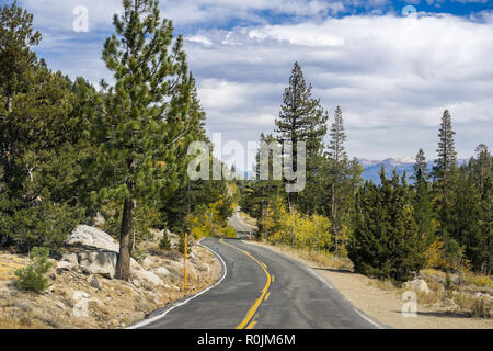 Fahrt durch die Sierra Berge in Richtung Sonora Pass, Kalifornien Stockfoto