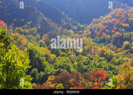 Herbst Farbe auf Newfound Gap Road, Smoky Mountains National Park Stockfoto