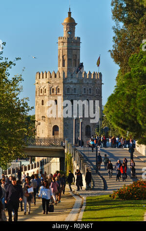 Gold Turm - Torre del Oro in Sevilla, Spanien Stockfoto