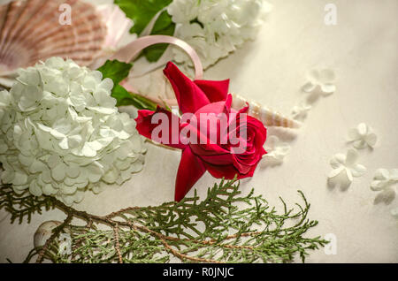 Bud der roten Rose mit weißen Hortensie auf Eukalyptus Zweig und Muscheln auf einem weißen Tisch Stockfoto