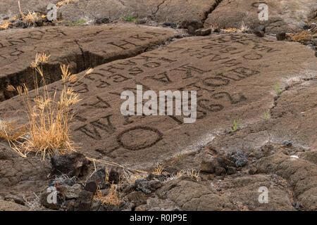 Felszeichnungen in Waikoloa Feld, auf der King's Trail ('Mamalahoa'), in der Nähe von Kona auf der grossen Insel von Hawaii. In vulkanischen Felsen. Stockfoto