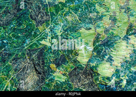 In der Nähe von Makroaufnahmen von natürlichen Mineral Stein Serpentine. Schöne Textur der grüne Stein. Stockfoto