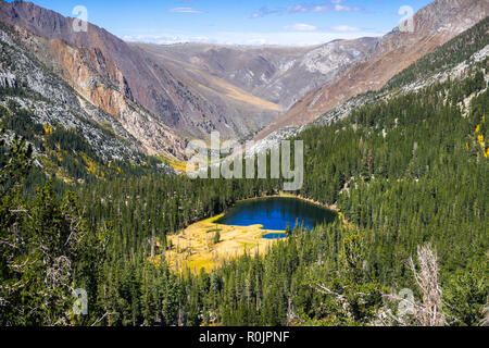 Luftaufnahme Gras See von immergrünen Wäldern in der östlichen Sierra Bergen umgeben, Kalifornien Stockfoto