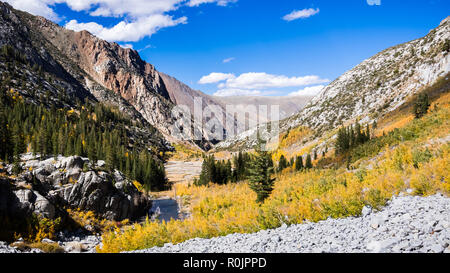 Herbstfarben, McGee Creek Valley in der östlichen Sierra Mountains, Kalifornien Stockfoto