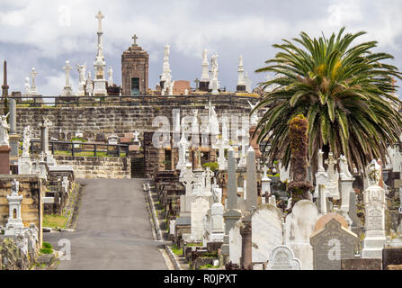 Marmor Grabsteine und Gräber auf dem Friedhof Waverley Bronte Sydney, NSW, Australien. Stockfoto