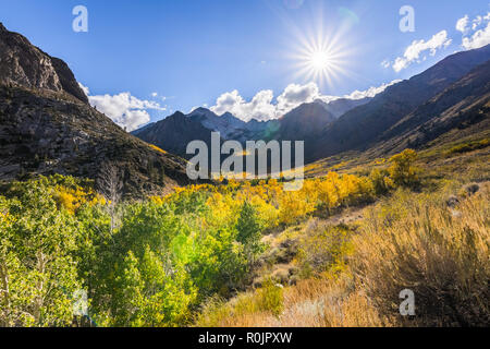 Herbstfarben, McGee Creek Valley in der östlichen Sierra Mountains, Kalifornien Stockfoto