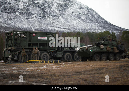 Us-Marines mit Transport Services Unternehmen, die Bekämpfung der Logistik Bataillon 2, 2 Marine Logistik Group-Forward, warten Sie ein leicht gepanzertes Fahrzeug mit 2. Light Armored Reconnaissance Bataillon (LAR), 2nd Marine Division in Oppdal, Norwegen, Nov. 2, 2018 zu tanken. Die Marines sofern Kraftstoff, Wasser und Essen, bereit zum 2. LAR, 4 LAR und norwegische Verbündeten während der Übung Trident Punkt 18 zu essen. Die Übung verbessert die USA und die NATO-Verbündeten und Fähigkeiten der Partner zur Zusammenarbeit militärische Operationen unter schwierigen Bedingungen durchzuführen. (U.S. Marine Corps Foto von Sgt. Bet Stockfoto