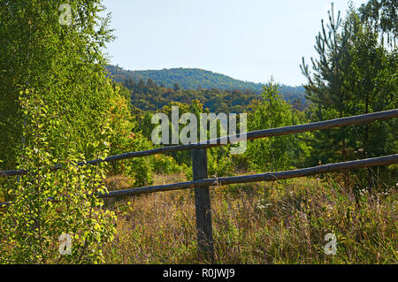 Wald und Berge mit blauem Himmel. Forest Conservation Area. Stockfoto