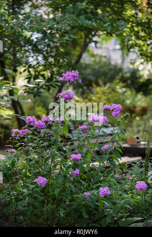 Szenen aus der M'Finda Kalunga gemeinschaft Garten in Manhattans Lower East Side. Stockfoto