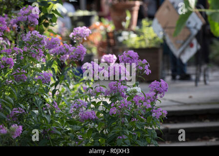 Szenen aus der M'Finda Kalunga gemeinschaft Garten in Manhattans Lower East Side. Stockfoto