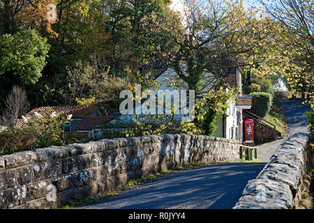 Blick über die Brücke zum Birch Hall Inn Village Pub im Herbst Beck Hole in der Nähe von Goathland North Yorkshire England Großbritannien Großbritannien Stockfoto