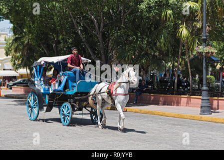 Blau Pferdekutschen auf einer Straße der Stadt vor der Plaza Grande entfernt in Merida, Mexiko gezeichnet. Stockfoto