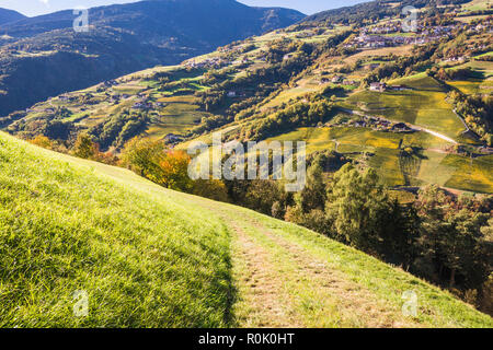 Herbst Landschaft im Eisacktal mit einem Bäume im Herbst Farben. Lage Nationalpark Dolomiti, Südtirol, Provinz Bozen, Italien, Europa Stockfoto