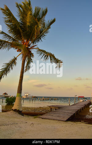 Caye Caulker ist eine kleine Kalksteinkoralleninsel vor der Küste von Belize in der Karibik Stockfoto