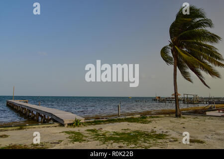 Caye Caulker, Belize Stockfoto