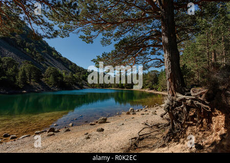 Die grüne Lochan (Ein Lochan Uaine). Ein kleines, aber unglaublich schönen Loch in der Nähe von Glenmore Lodge in Glenmore im Cairngorms. Stockfoto